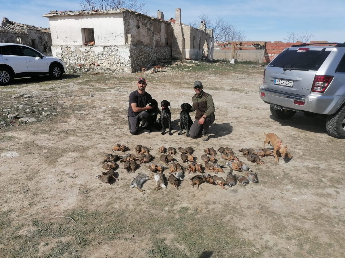 Seguimos sumando